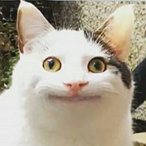 Meet your Posher, Sergio